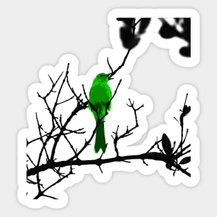 Green bird on a black tree Sticker